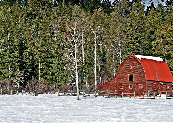Barn Greeting Card featuring the photograph Winter Barn #1 by Ronnie And Frances Howard