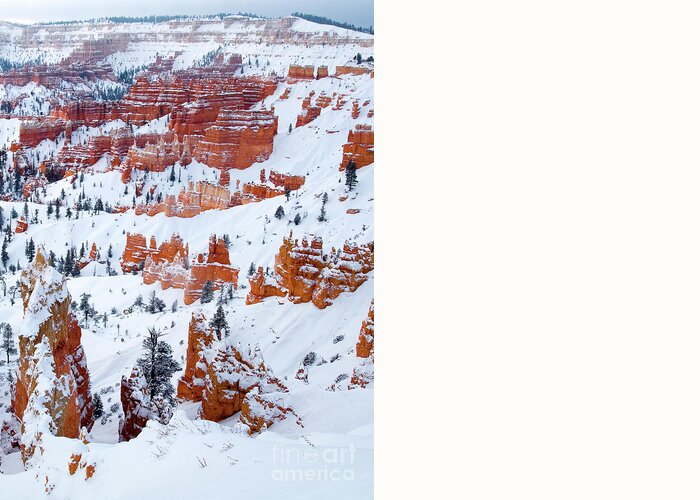 Dave Welling Greeting Card featuring the photograph Winter Sunrise Bryce Canyon National Park Utah #2 by Dave Welling