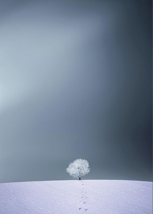 Landscape Greeting Card featuring the photograph Winter Tree #1 by Bess Hamiti