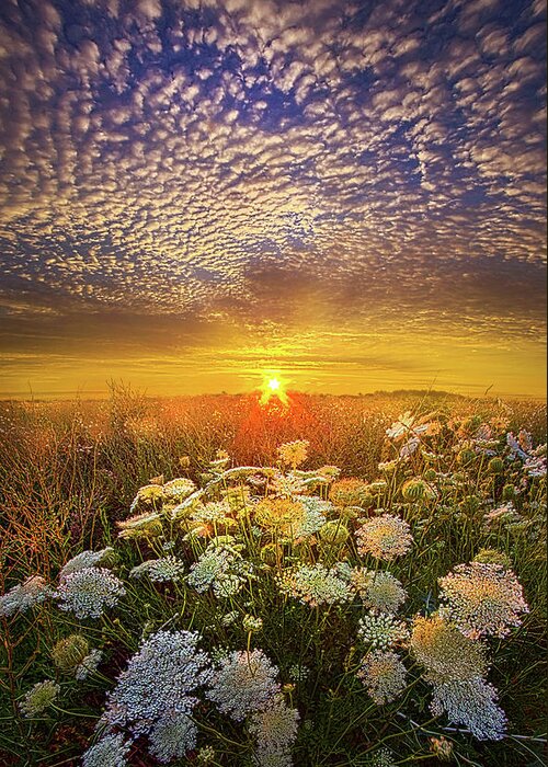 Summer Greeting Card featuring the photograph Your Whisper Tells A Secret #1 by Phil Koch