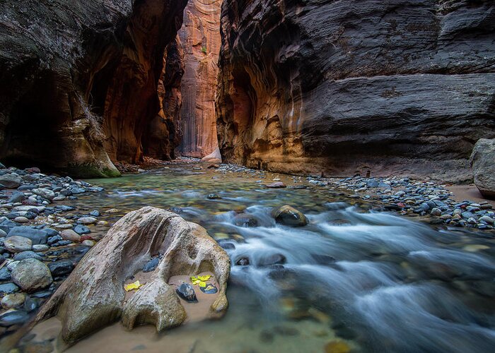 Utah Greeting Card featuring the photograph Zion Narrows by Wesley Aston