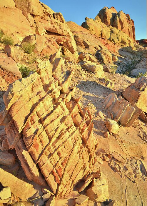 Valley Of Fire State Park Greeting Card featuring the photograph Morning at Valley of Fire #6 by Ray Mathis