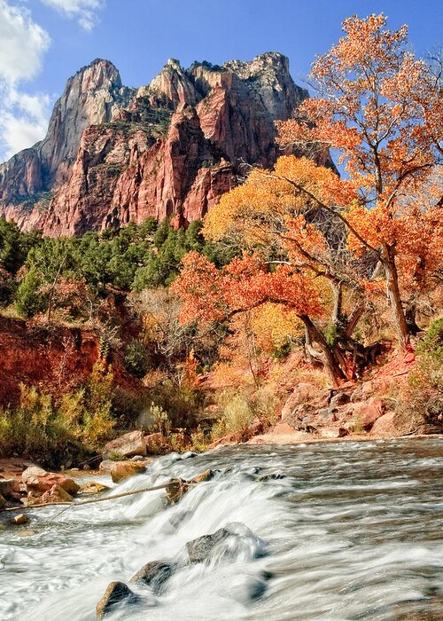 Zion National Park Greeting Card featuring the photograph Zion National Park Utah #10 by Douglas Pulsipher
