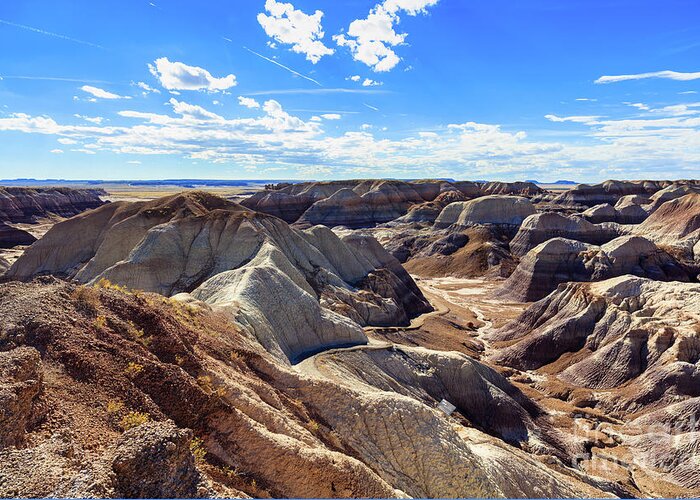Arizona Greeting Card featuring the photograph Arizona Petrified Forest #11 by Raul Rodriguez