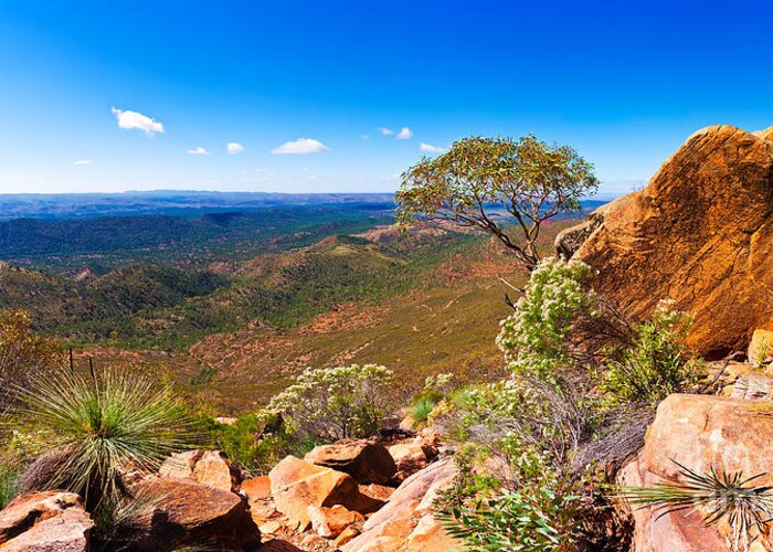 Wilpena Pound Flinders Ranges South Australia Australian Landscape Landscapes Outback Beautiful Sunny Day Greeting Card featuring the photograph Wilpena Pound #11 by Bill Robinson