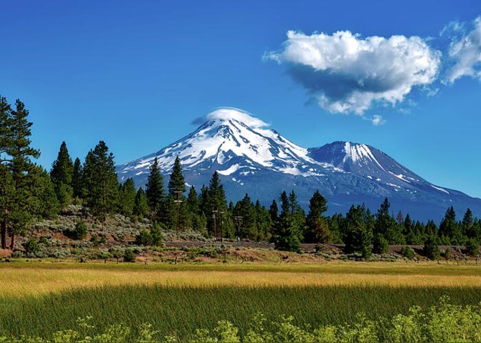 Mount Shasta Greeting Card featuring the photograph Mount Shasta #13 by Mountain Dreams