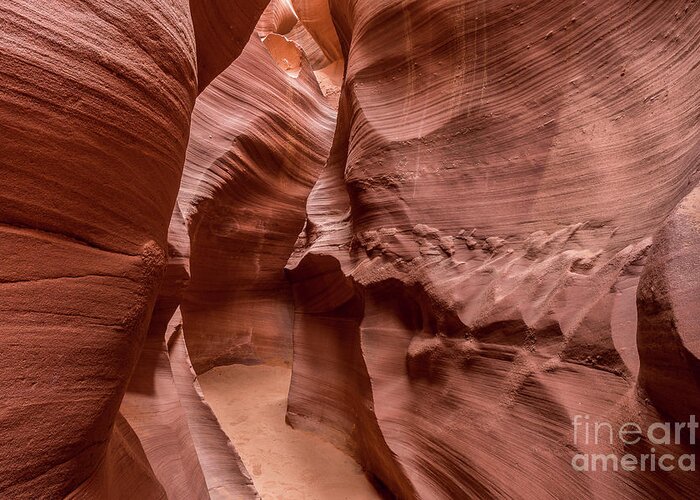 Lower Antelope Canyon Greeting Card featuring the photograph Lower Antelope Canyon #17 by Craig Shaknis