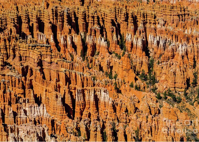Bryce Canyon Greeting Card featuring the photograph Bryce Canyon Utah #19 by Raul Rodriguez