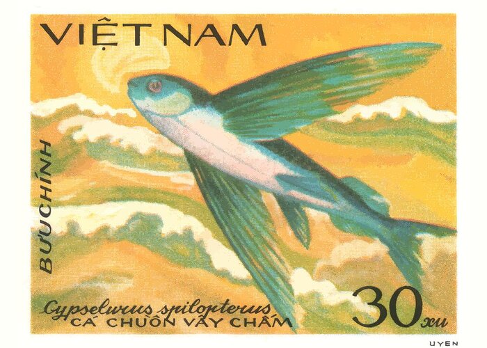 Vintage Stamp Greeting Card featuring the digital art 1984 Vietnam Flying Fish Postage Stamp by Retro Graphics