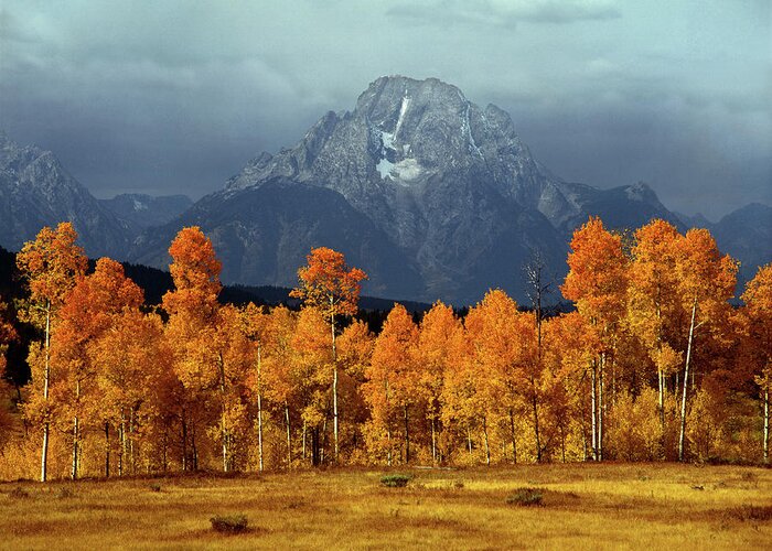 1m9235 Greeting Card featuring the photograph 1M9235 Mt. Moran in Autumn by Ed Cooper Photography