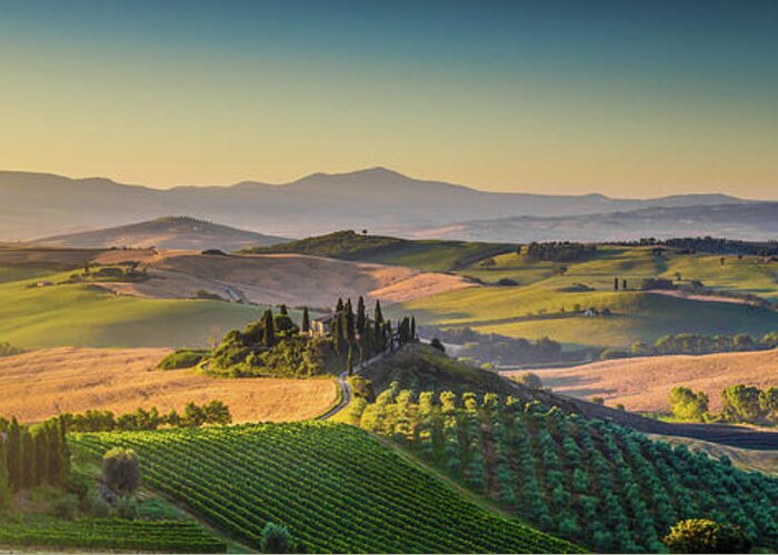 Agriculture Greeting Card featuring the photograph A Golden Morning in Tuscany #3 by JR Photography