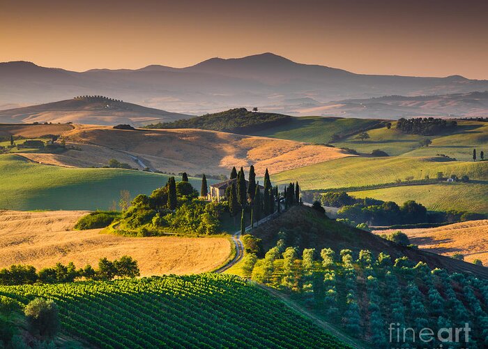 Agriculture Greeting Card featuring the photograph A Morning in Tuscany #3 by JR Photography