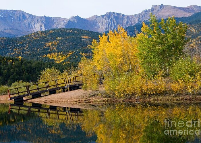 Pikes Peak Greeting Card featuring the photograph Autumn Aspen at Crystal Creek Reservoir Pikes Peak #2 by Steven Krull