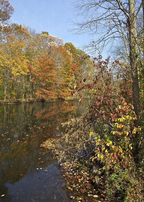 Autumn Greeting Card featuring the photograph Autumn Colors on the Canal by David Letts