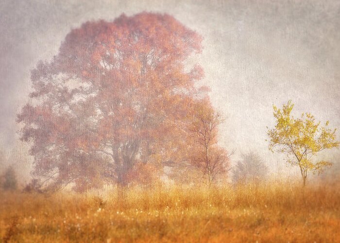 Autumn Greeting Card featuring the photograph Autumn Mist #3 by Leda Robertson