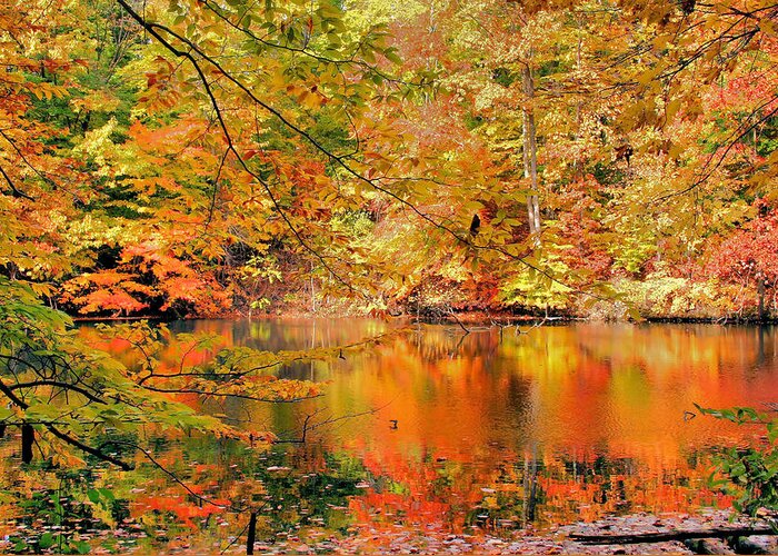 Autumn Greeting Card featuring the photograph Autumn Reflections #2 by Kristin Elmquist
