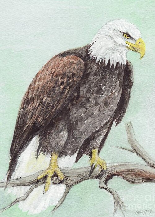 America Greeting Card featuring the painting Bald Eagle by Morgan Fitzsimons