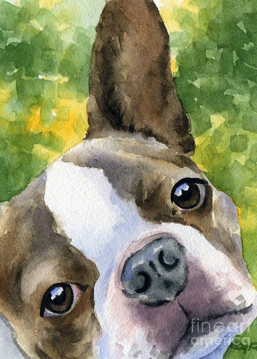 Boston Terrier Greeting Card featuring the painting Boston Terrier #1 by David Rogers