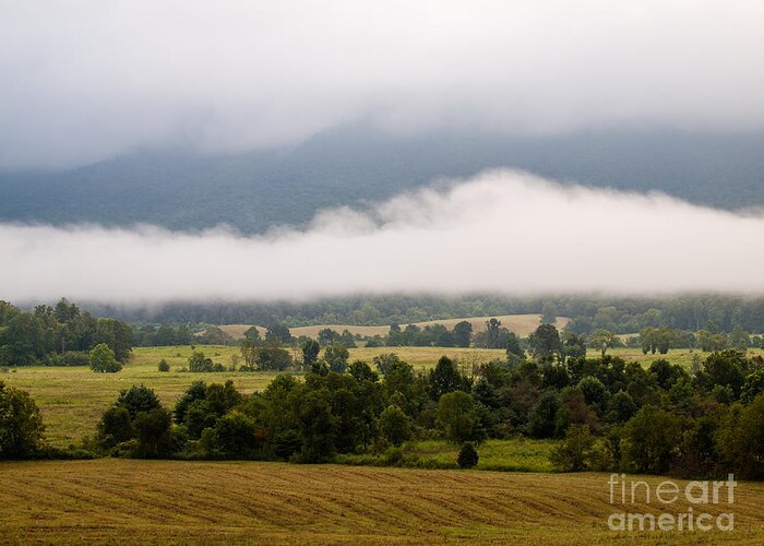 Landscape Greeting Card featuring the photograph Cades cove. #2 by Itai Minovitz