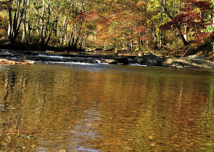 Water Greeting Card featuring the photograph Creek water flowing through woods in autumn #2 by Emanuel Tanjala