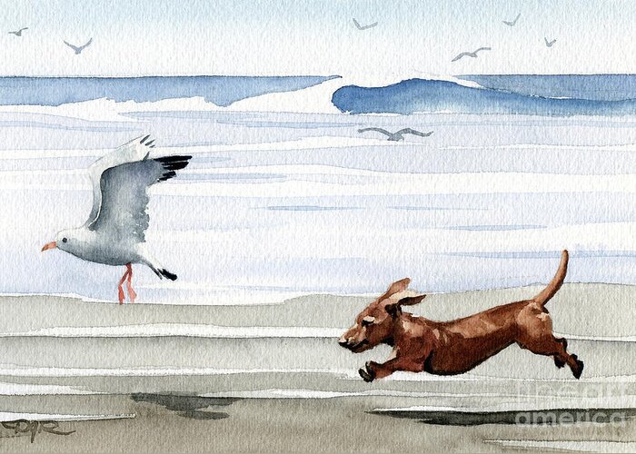 Dachshund Running Playing Seagull Beach Ocean Waves Shore Pet Dog Breed Canine Art Print Artwork Painting Watercolor Gift Gifts Picture Greeting Card featuring the painting Dachshund at the Beach by David Rogers