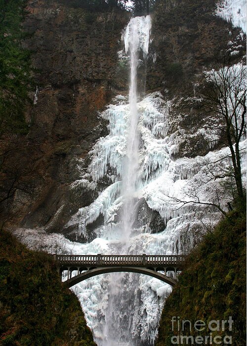 Frozen Greeting Card featuring the photograph Frozen Multnomah Falls #3 by Bruce Block