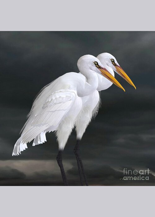Great+egret Greeting Card featuring the painting Great Egret #1 by Corey Ford