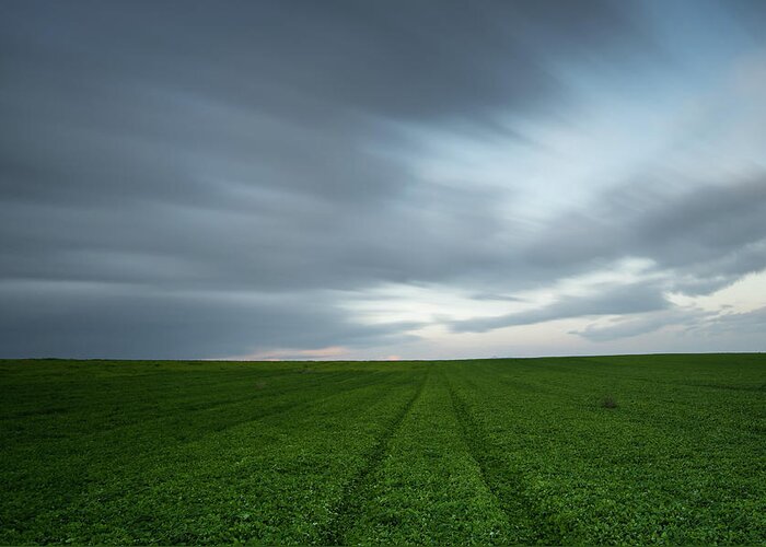 Green Field Greeting Card featuring the photograph Green field and cloudy sky #2 by Michalakis Ppalis