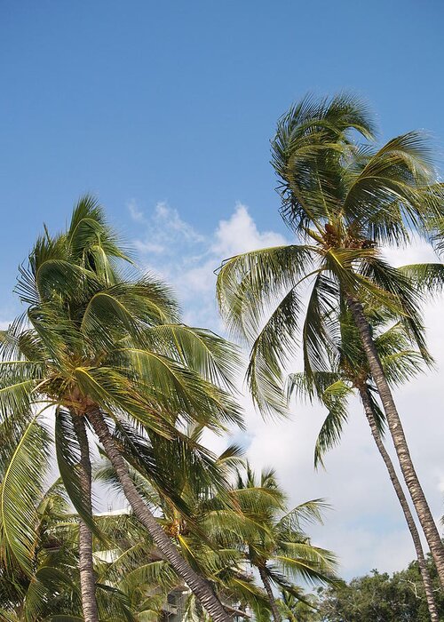  Tropical Greeting Card featuring the photograph Hawaiian Breeze #2 by Athala Bruckner