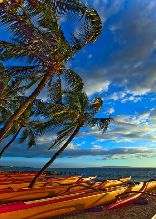 Kihei Canoes Maui Hawaii Palmtrees Sunset Ocean Greeting Card featuring the photograph Kihei Canoes #2 by James Roemmling