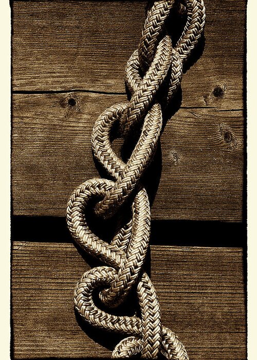 Deck Greeting Card featuring the photograph Love Knots #2 by David Patterson