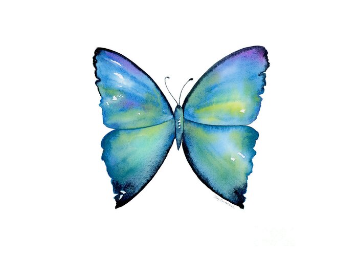 Morpho Aega Butterfly Greeting Card featuring the painting 2 Morpho Aega Butterfly by Amy Kirkpatrick