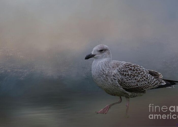 Gull Greeting Card featuring the photograph On the Beach #2 by Eva Lechner