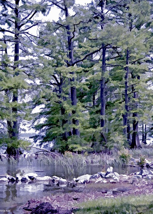 Reelfoot Lake Greeting Card featuring the photograph Reelfoot Lake #2 by Bonnie Willis