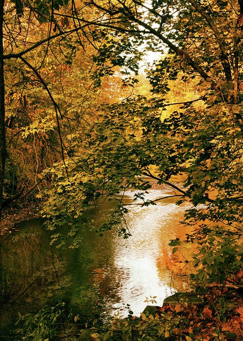 Autumn Greeting Card featuring the photograph River Reflections #2 by Jessica Jenney