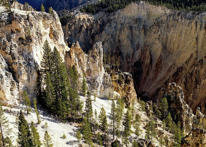 Wyoming Greeting Card featuring the photograph Rock Formations of Yellowstone Canyon #2 by Shirley Mitchell