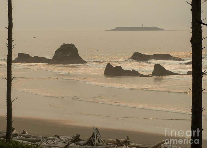 America Greeting Card featuring the photograph Ruby Beach #2 by Rod Jones