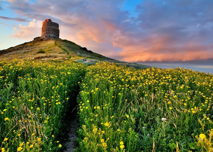 Sardinia Greeting Card featuring the photograph Spring Flower Field With Trail To Castle Tower #2 by Dirk Ercken