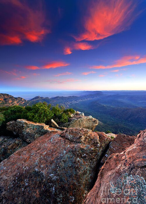 St Mary Peak Sunrise Outback Landscape Wilpena Pound Flinders Ranges South Australia Australian Abc Range Greeting Card featuring the photograph St Mary Peak Sunrise #2 by Bill Robinson