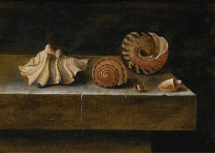 Adriaen Coorte Still Life With Sea Shells Greeting Card featuring the painting Still Life With Sea Shells #2 by Adriaen Coorte