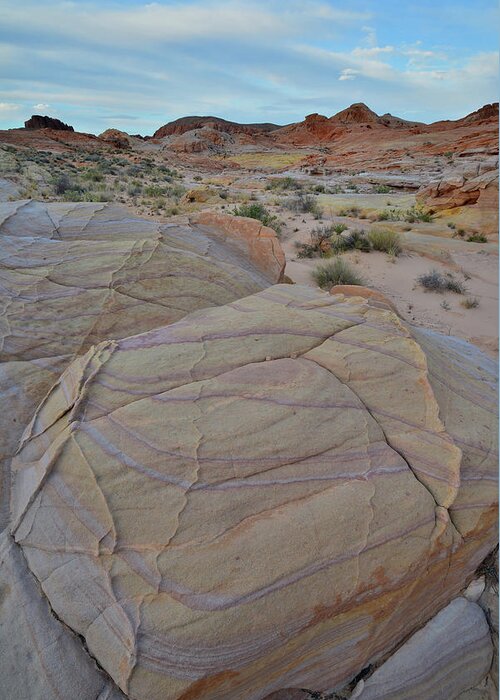 Valley Of Fire State Park Greeting Card featuring the photograph The Pastels of Valley of Fire #2 by Ray Mathis