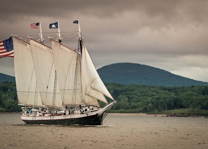 Schooner Greeting Card featuring the photograph Victory Chimes by Fred LeBlanc