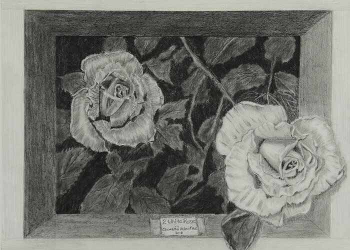 Rose Greeting Card featuring the drawing 2 White Roses by Quwatha Valentine