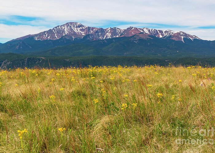Wildflowers Greeting Card featuring the photograph Wildflowers and Pikes Peak #2 by Steven Krull