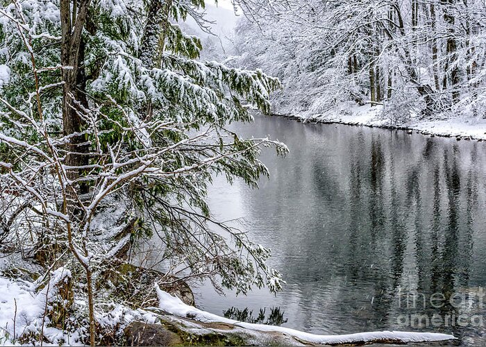 Cranberry River Greeting Card featuring the photograph Winter along Cranberry River #20 by Thomas R Fletcher