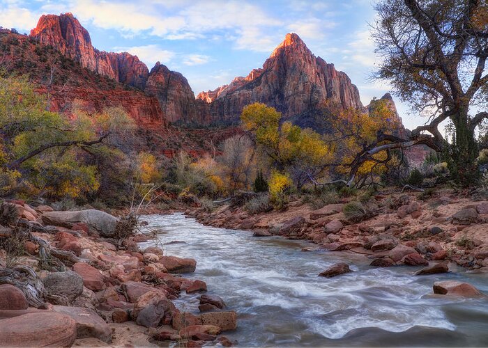 Zion National Park Greeting Card featuring the photograph Zion National Park #20 by Douglas Pulsipher
