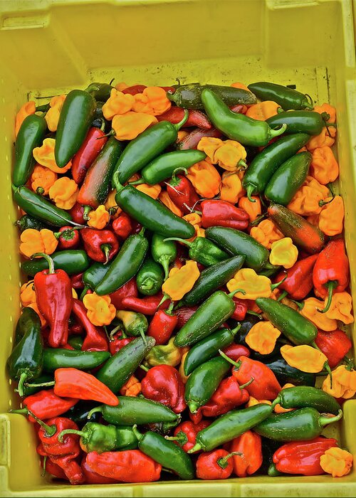 Poblano Peppers Greeting Card featuring the photograph 2016 Monona Farmers' Market Poblano Peppers by Janis Senungetuk