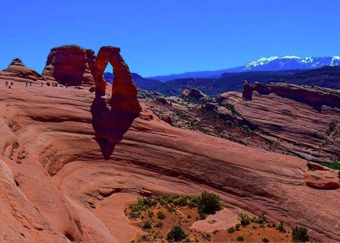 Delicatearch Greeting Card featuring the photograph 2016
-
-
delicate Arch
-
arches by Mel Porter