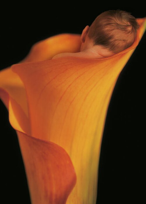 Sleeping Greeting Card featuring the photograph Jacob in a Calla Lily by Anne Geddes