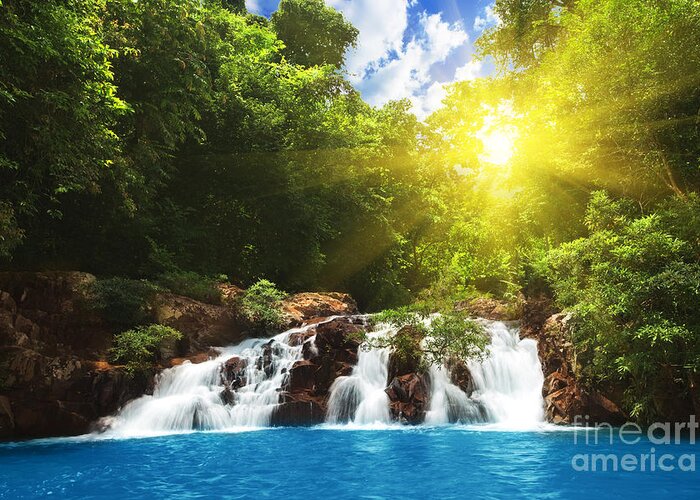 Forest Greeting Card featuring the photograph Waterfall #25 by MotHaiBaPhoto Prints